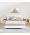 vidaXL Bedside Cabinets 2 pcs 50x34x50 cm Solid Wood Pine