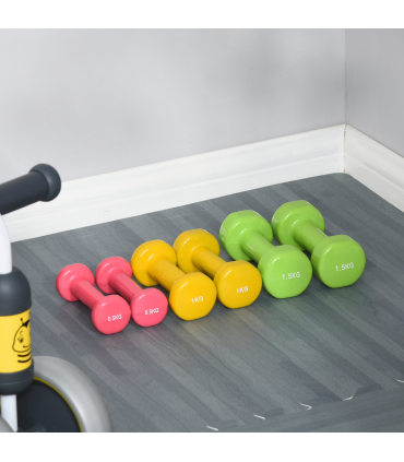 HOMCOM 6kg Dumbbell Fitness Weights Set for Men and Women, Home Gym Workout