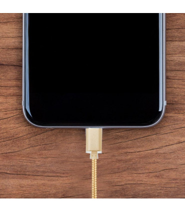 Fx Braided Micro USB Data Cable, Gold, Rose Gold, Space Grey, Silver[Gold]