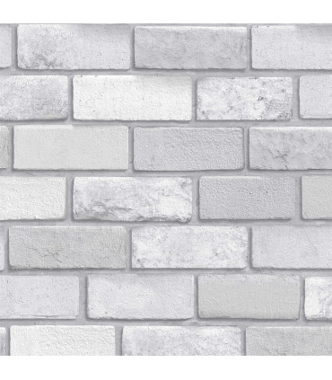 Diamond Silver Brick sw12