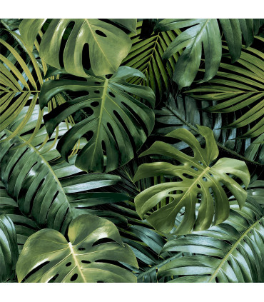 Living Wall Green sw12