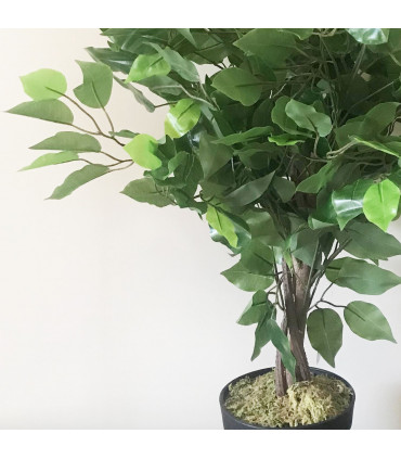 60cm Artificial Ficus Tree / Plant - Large Bushy Shape