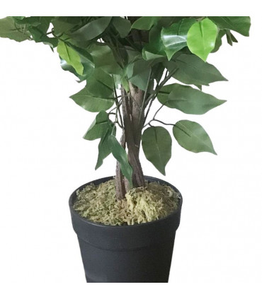 60cm Artificial Ficus Tree / Plant - Large Bushy Shape