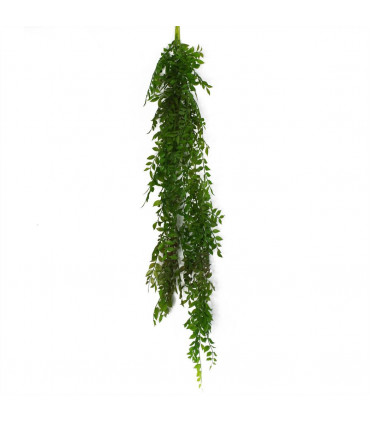 100cm Hanging String of Pearls Fern Plant Dark Green