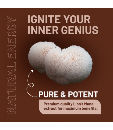 Lions Mane Mushroom Supplement 4000mg with Vitamin B1, B6, B12 & Black Pepper