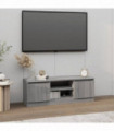 TV Cabinet with Door Grey Sonoma 102x30x36 cm