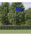 vidaXL Europe Flag and Pole 5.55 m Aluminium
