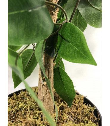 90cm Artificial Ficus Tree Bush - Large Bushy Plant