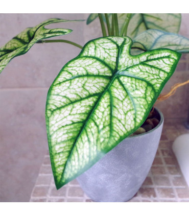 40cm Artificial Taro House Plant in Decorative Planter