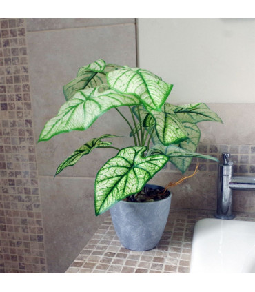 40cm Artificial Taro House Plant in Decorative Planter