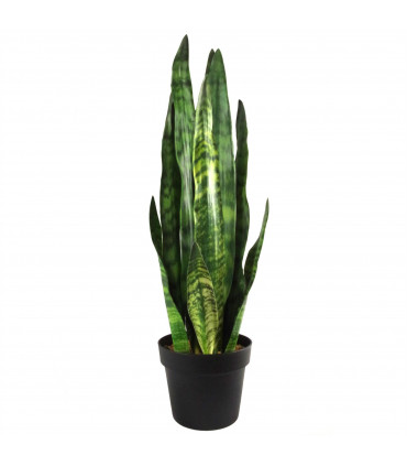 70cm Artificial Sansevieria Zeylanica Plant