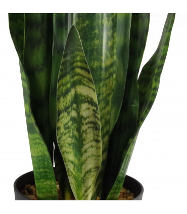 70cm Artificial Sansevieria Zeylanica Plant