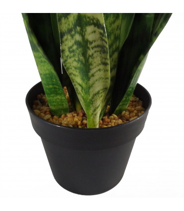 70cm Artificial Sansevieria Zeylanica Plant