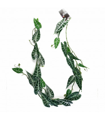 180cm Artificial Trailing Hanging Amazonica Plant Realistic