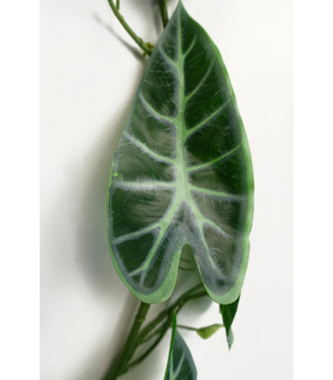 180cm Artificial Trailing Hanging Amazonica Plant Realistic