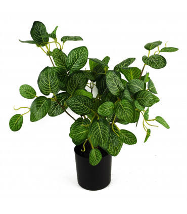 40cm Artificial Variegated Pothos Plant