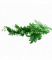 50cm Artificial Trailing Philodendron Large Leaf Plant Realistic
