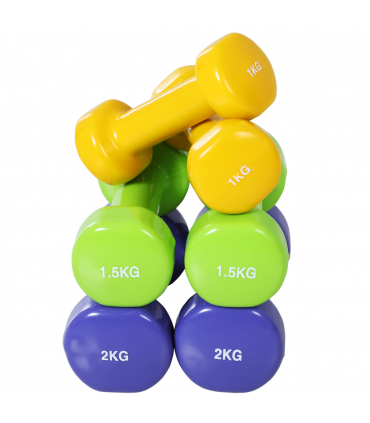 10kg Colourful Dumbbell Weights Set Home Exercising Toning w/ Case Gym HOMCOM