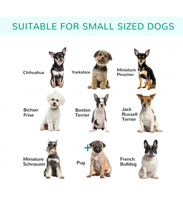 Steel 240x240cm Heavy-Duty 12 Panel Pet Playpen