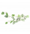 Artificial Trailing Hanging Plant Green Variegated Realistic Alocasia 120cm