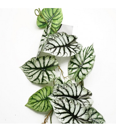 Artificial Trailing Hanging Plant Green Variegated Realistic Alocasia 120cm