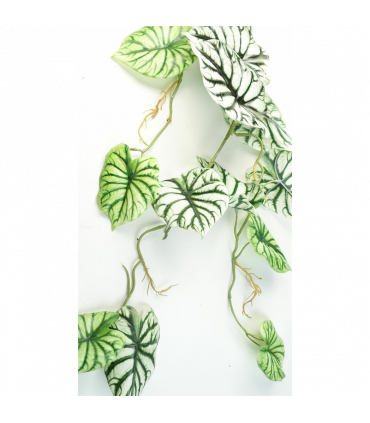 Artificial Trailing Hanging Plant Green Variegated Realistic Alocasia 120cm