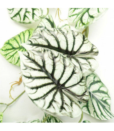 Artificial Trailing Hanging Plant Green Variegated Realistic Alocasia 120cm