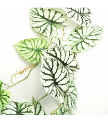 Artificial Trailing Hanging Plant Green Variegated Realistic Alocasia 120cm