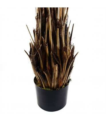 120cm Cycas Palm Tree UV Resistant Outdoor