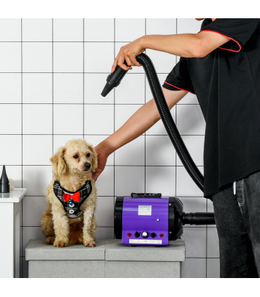 2800W Dog Hair Dryer Pet Grooming Blaster Blower Dryer 3 Nozzles Pawhut