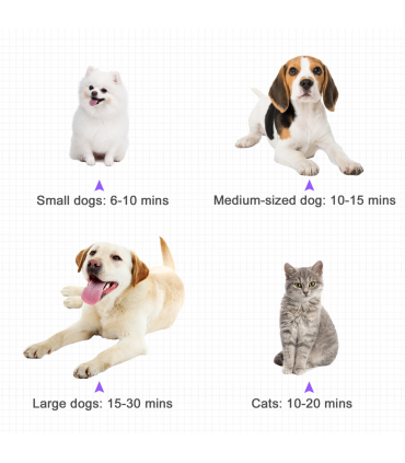 2800W Dog Hair Dryer Pet Grooming Blaster Blower Dryer 3 Nozzles Pawhut