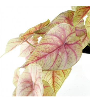 Artificial Pink Caladium Potted Trailing Plant 30cm Green Dark Pink Plastic