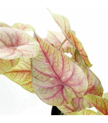 Artificial Pink Caladium Potted Trailing Plant Dark Pink Green Plastic 30cm