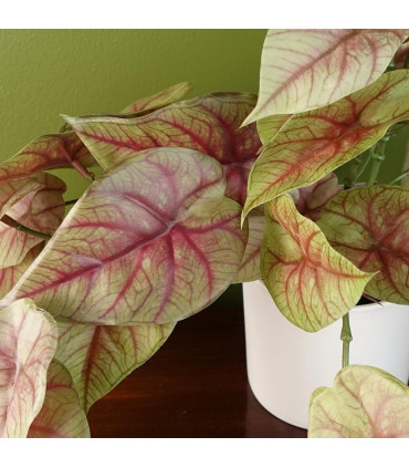 Artificial Pink Caladium Potted Trailing Plant Dark Pink Green Plastic 30cm