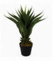 55cm Artificial Tropical Yucca Plant