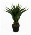 55cm Artificial Yucca Plant