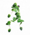 6 x 120cm Artificial Hanging Trailing Plant Alocasia Dragon Scale Green