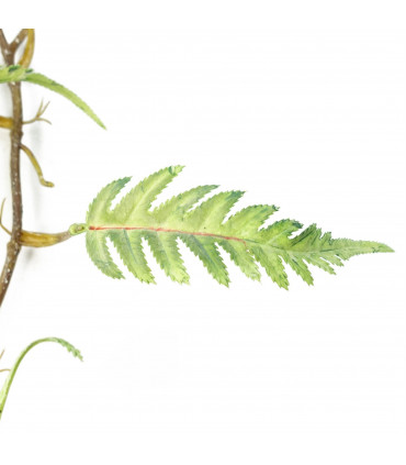 Artificial Hanging Trailing Fern Plant Green Large Leaf 125cm Pack of 6