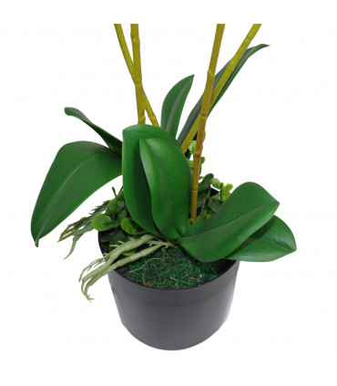 60cm Artificial Luxury Orchid - Triple Stem - Pink Realistic Plant