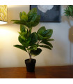 65cm Rubber Plant Artificial in Pot