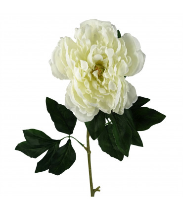 80cm Artificial White Peony Stem