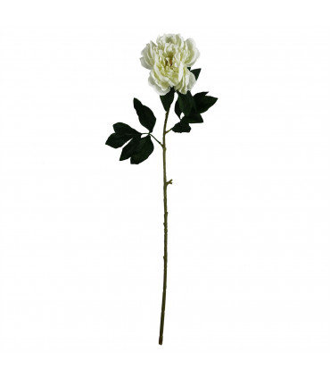 80cm Artificial White Peony Stem