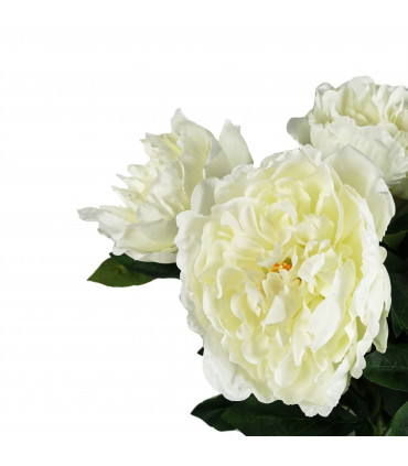 80cm Artificial White Peony Stem