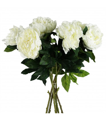 80cm Artificial White Peony Stem