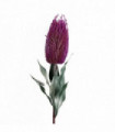75cm Banksia Menziesii Pink Flower Stem Artificial