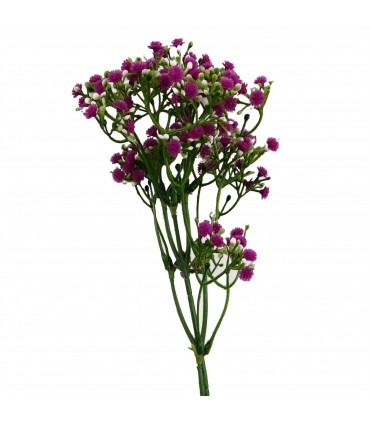 55cm Gypsophila Pink Stem