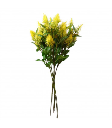 55cm Callistemon Pallidus Yellow Bottle Brush Stem