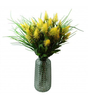 55cm Callistemon Pallidus Yellow Bottle Brush Stem