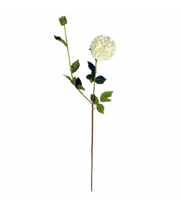 75cm Artificial Dahlia PomPom Flowers Cream