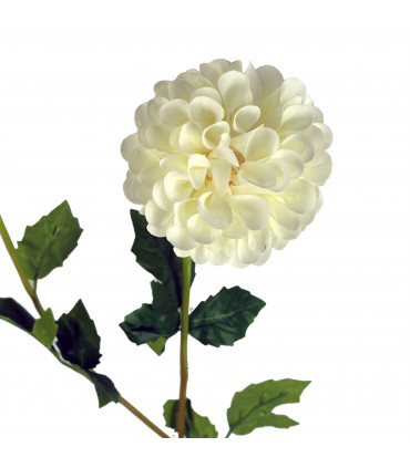 75cm Artificial Dahlia PomPom Flowers Cream